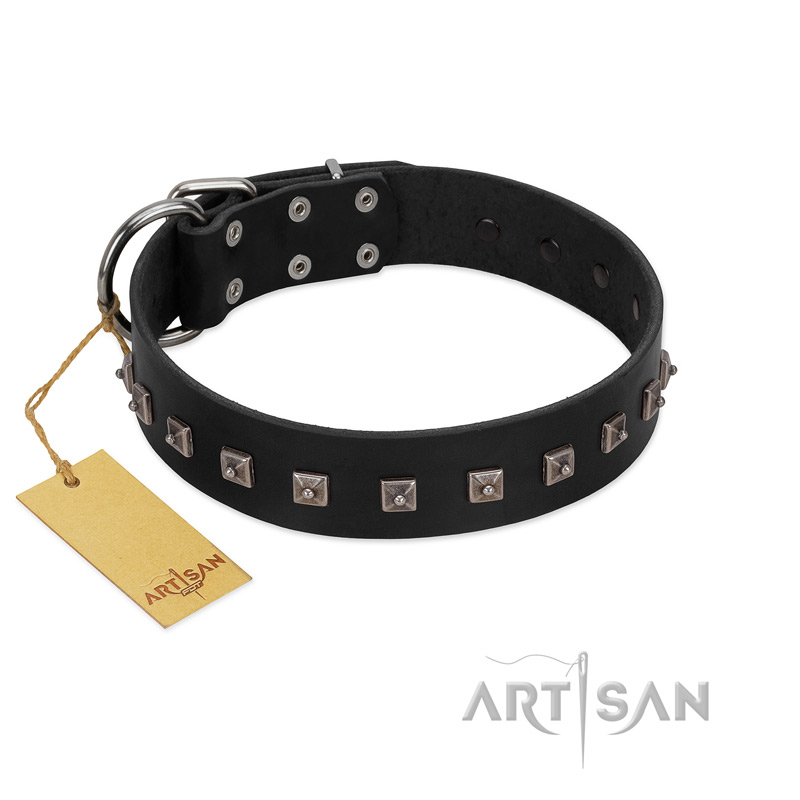"Natural Beauty" Premium Quality FDT Artisan Black Designer English Bulldog Collar with Dotted Studs