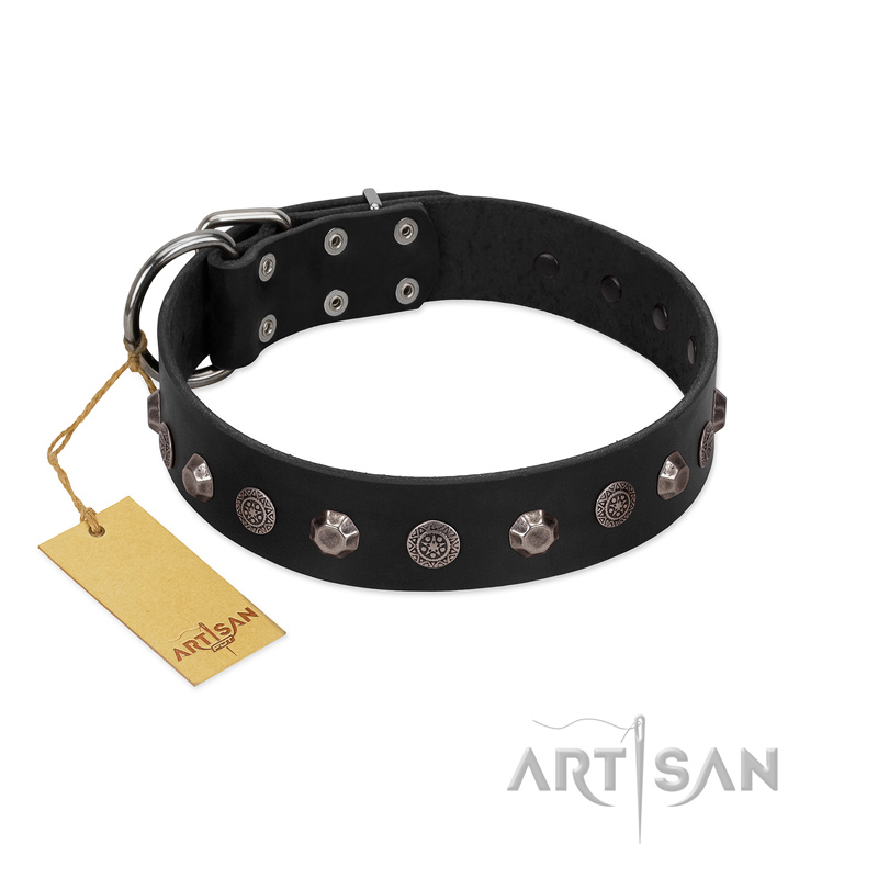 "Black Knight" Handmade FDT Artisan Black Leather English Bulldog Collar with Silver-Like Studs - Click Image to Close