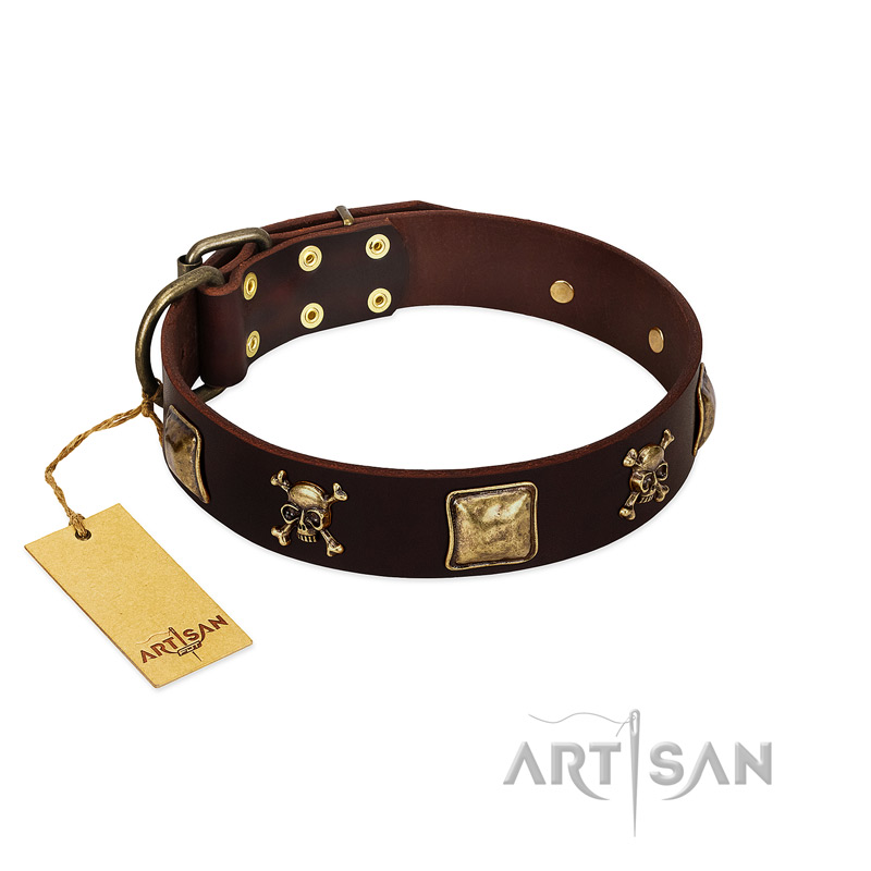 "Crazy Pirate" FDT Artisan Brown Leather English Bulldog Collar with Old Bronze-Plated Skulls and Plates