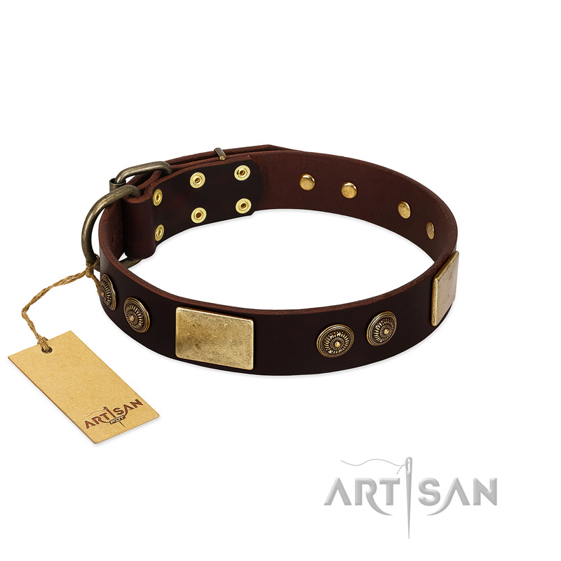 "Bow-Wow Effect" FDT Artisan Brown Leather English Bulldog Collar with Plates and Ornate Studs
