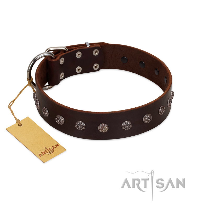 "Graceful Classic" Mod FDT Artisan Brown Leather English Bulldog Collar