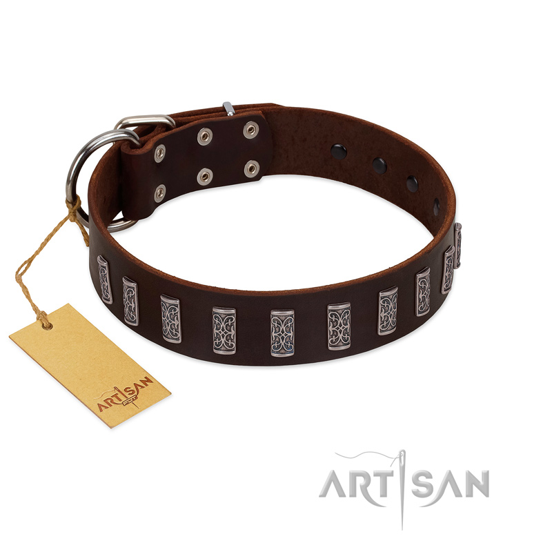 "Brown Lace" Handmade FDT Artisan Brown Leather English Bulldog Collar for Everyday Walks