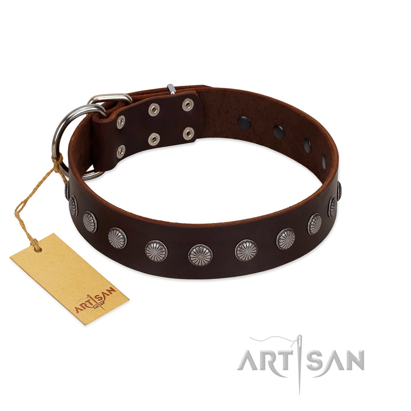 "Spring Flower" Stylish FDT Artisan Brown Leather English Bulldog Collar for Comfy Walks