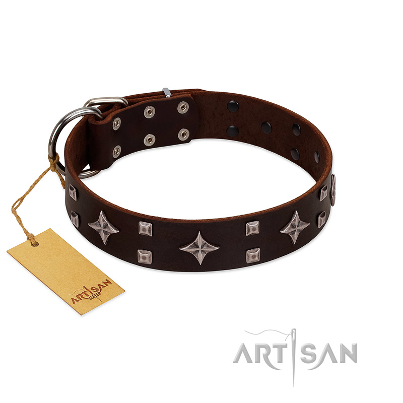"Trendy Candy" FDT Artisan Brown Leather English Bulldog Collar Adorned with Stars and Tiny Squares