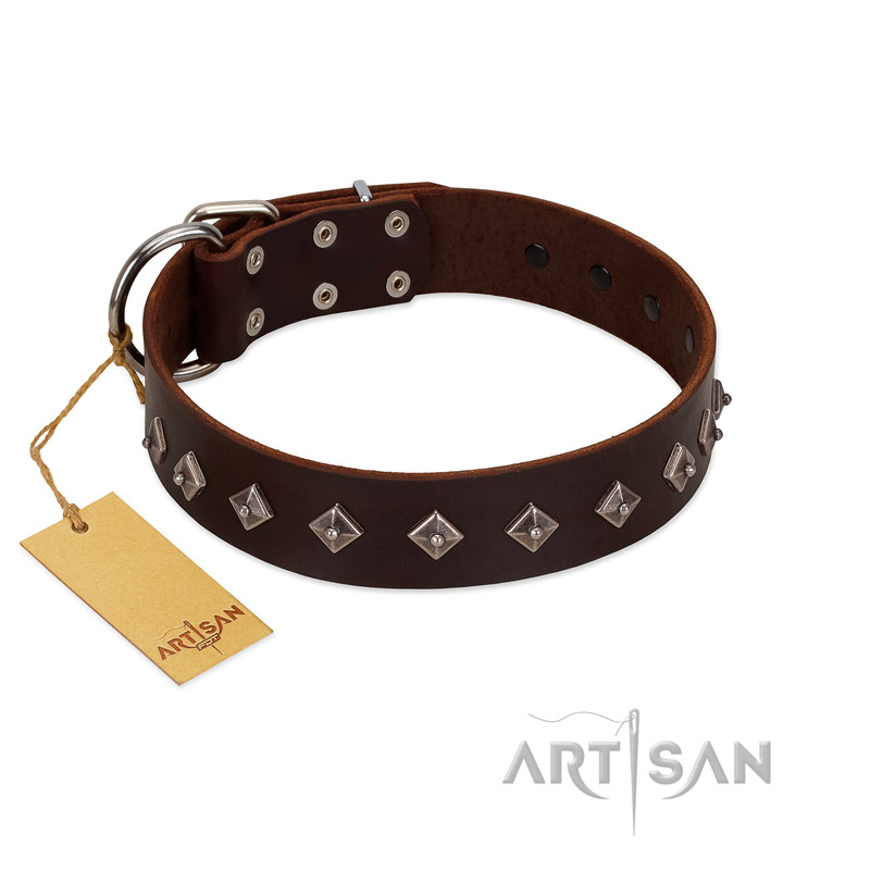 "Boundless Energy" Premium Quality FDT Artisan Brown Designer Leather English Bulldog Collar with Small Pyramids
