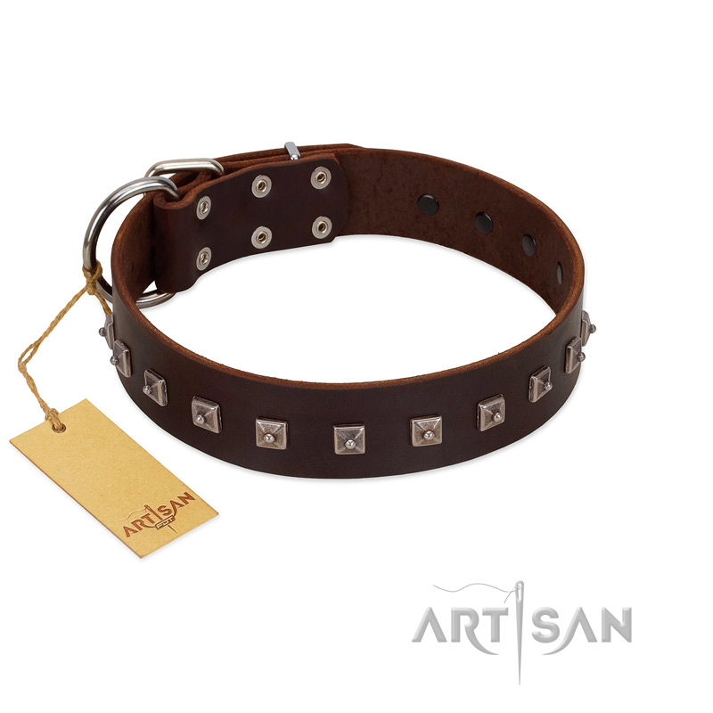 "Kingly Grace" FDT Artisan Brown Leather English Bulldog Collar with Silver-like Dotted Studs