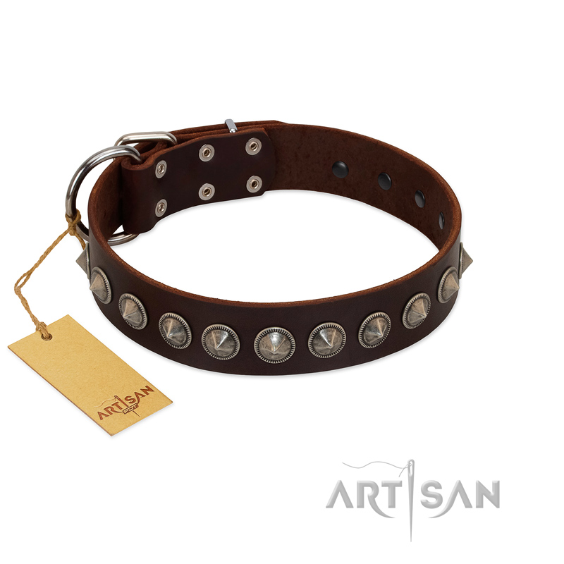 "Gothic Style" FDT Artisan Fancy Brown Leather English Bulldog Collar with Silver-Like Decorations