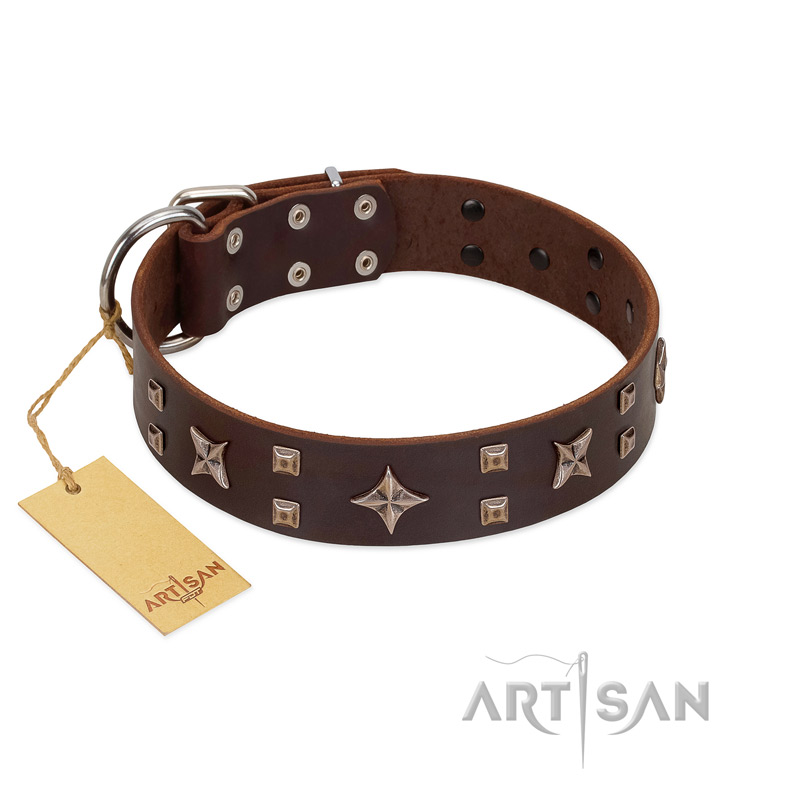 "Stars in Sands" Modern FDT Artisan Brown Leather English Bulldog Collar with Studs and Stars - Click Image to Close