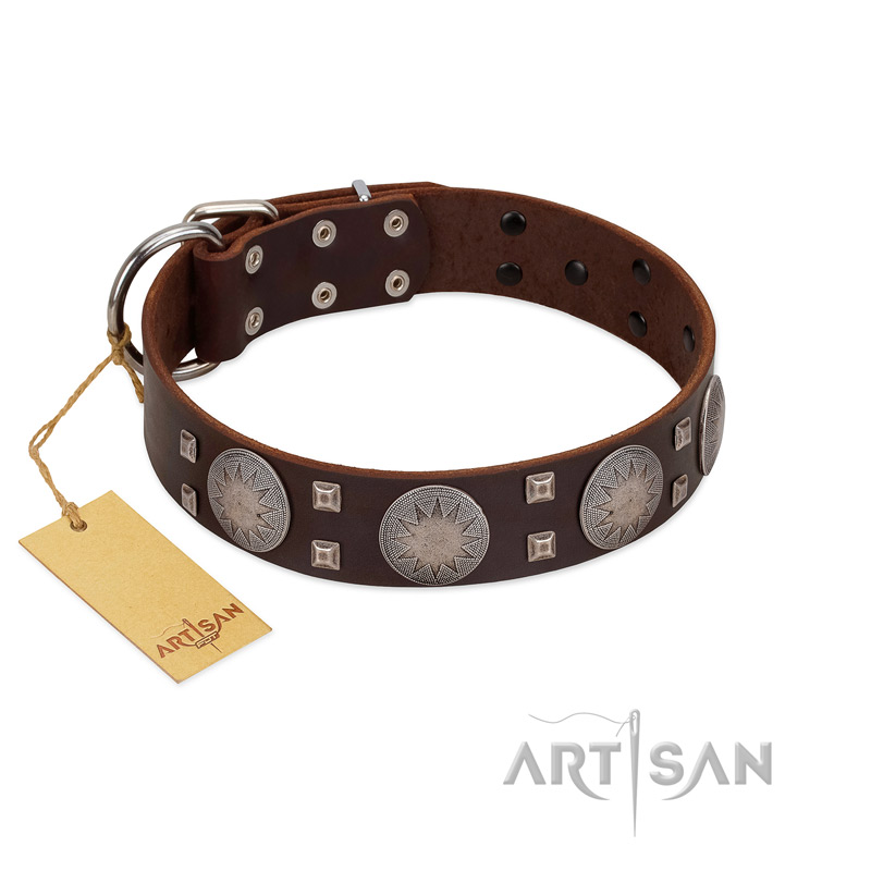 "Sun in Barchans" Modern FDT Artisan Brown Leather English Bulldog Collar with Engraved Stars on Round Plates and Studs - Click Image to Close