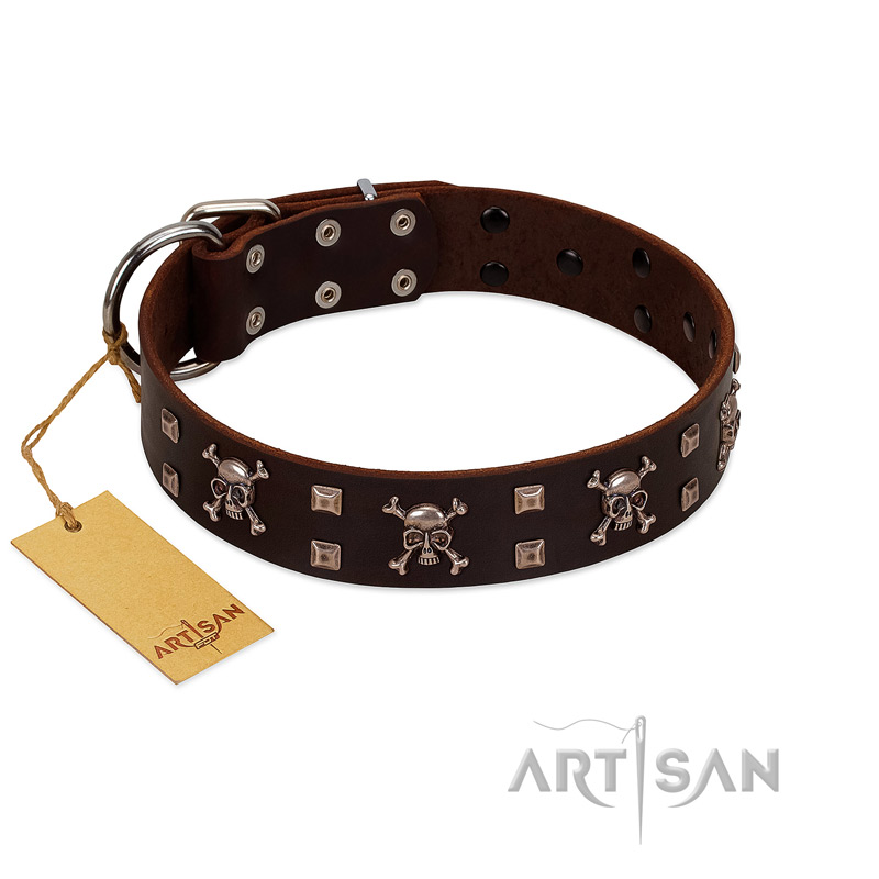 "Menacing Allure" FDT Artisan Brown Leather English Bulldog Collar Embellished with Silvery Crossbones and Square Studs