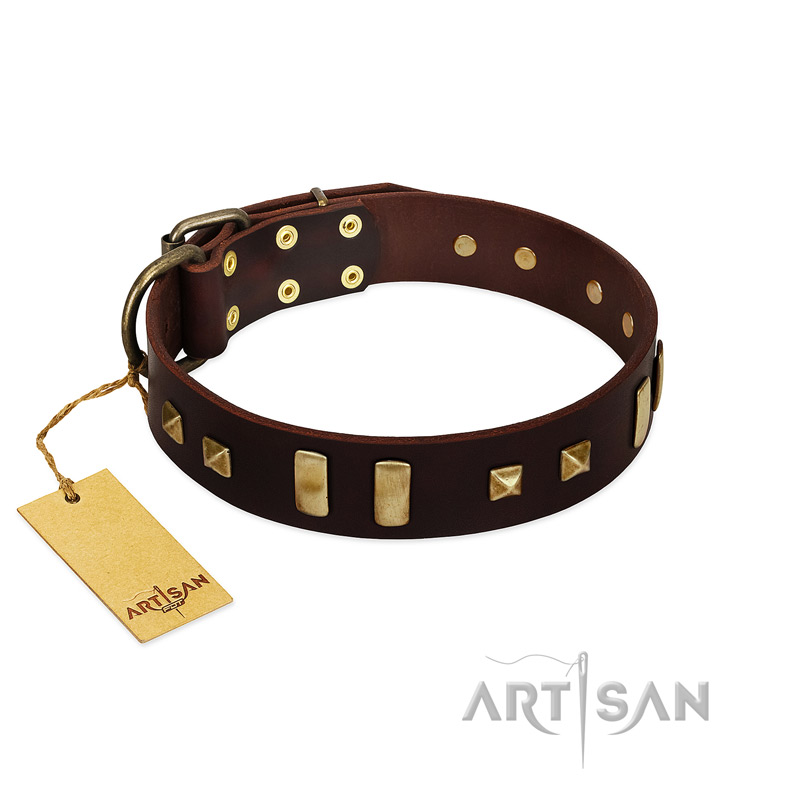 "Choco Delight" FDT Artisan Brown Leather English Bulldog Collar with Old Bronze-like Plates and Studs