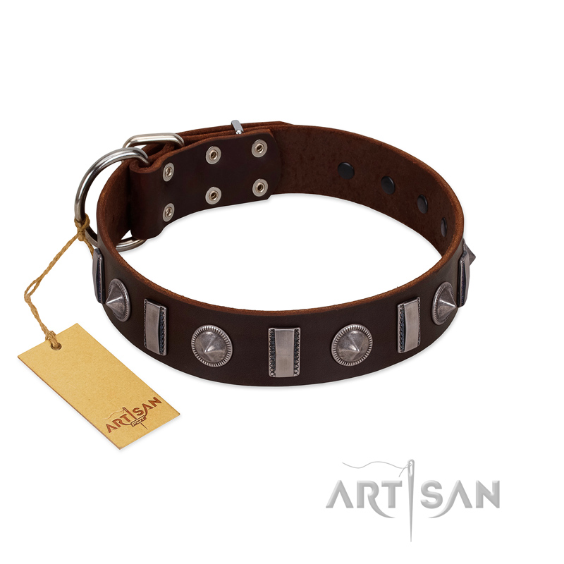 "Spiky Way" FDT Artisan Brown Leather English Bulldog Collar with Silver-Like Decorations