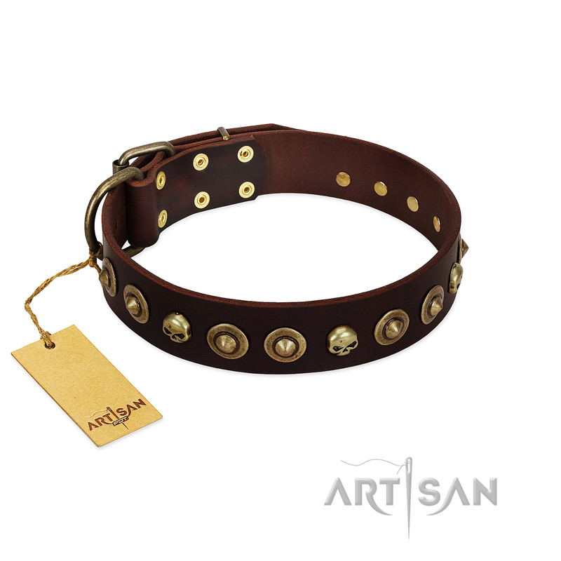 "Street Fashion" FDT Artisan Brown Leather English Bulldog Collar Adorned with Circles and Skulls