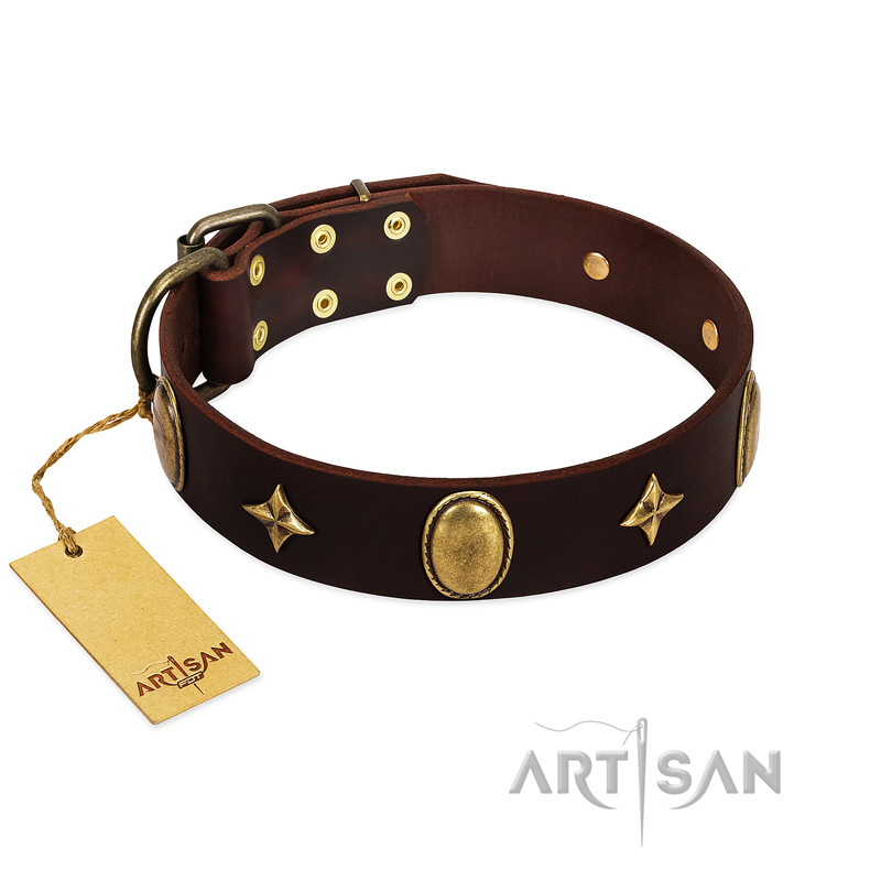 "Victory and Laurels" FDT Artisan Brown Leather English Bulldog Collar with Ovals and Stars