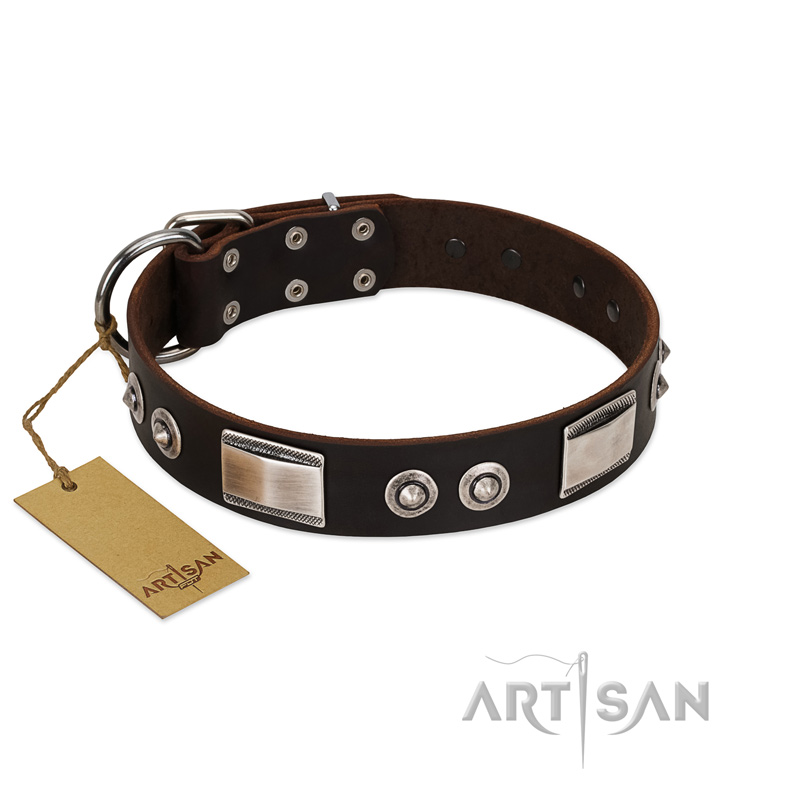 "Baller Status" FDT Artisan Brown Leather English Bulldog Collar Adorned with a Set of Chrome Plated Studs and Plates