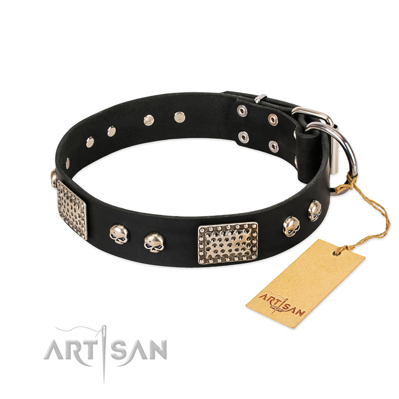 "Pirates Gold" FDT Artisan Black Leather English Bulldog Collar with Old Silver Look Plates and Skulls