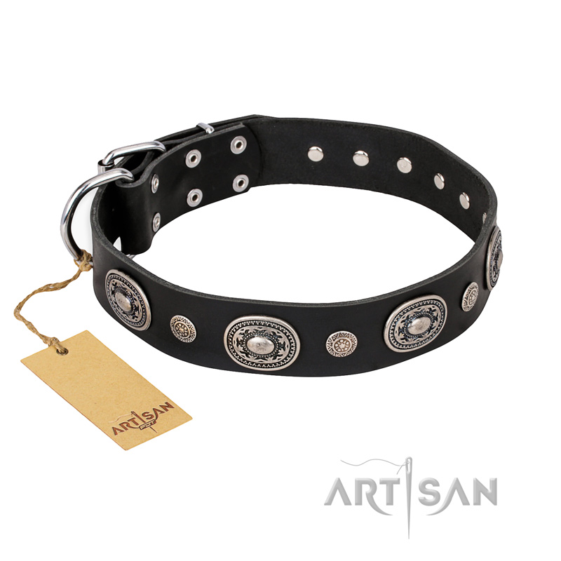 "Black Tie" FDT Artisan Leather English Bulldog Collar with Old Silver-like Decorations