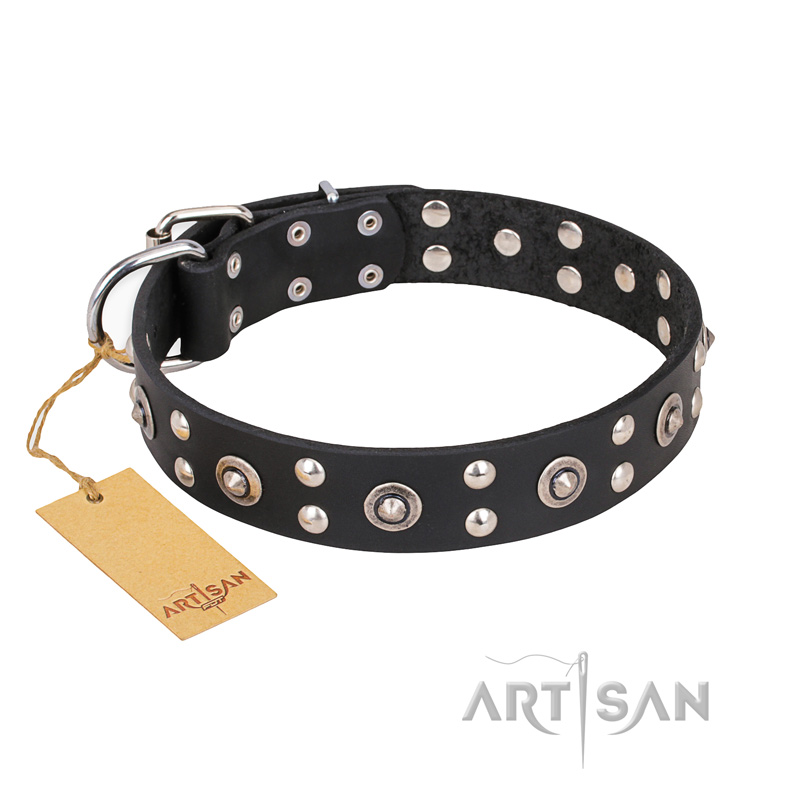 "Refined Essence" FDT Artisan Black Leather English Bulldog Collar with Silvery Studs