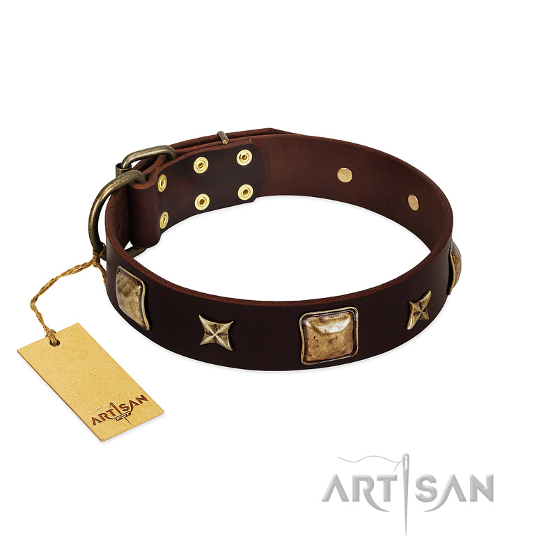 "Choco Dreams" FDT Artisan Brown Leather English Bulldog Collar with Squares and Stars
