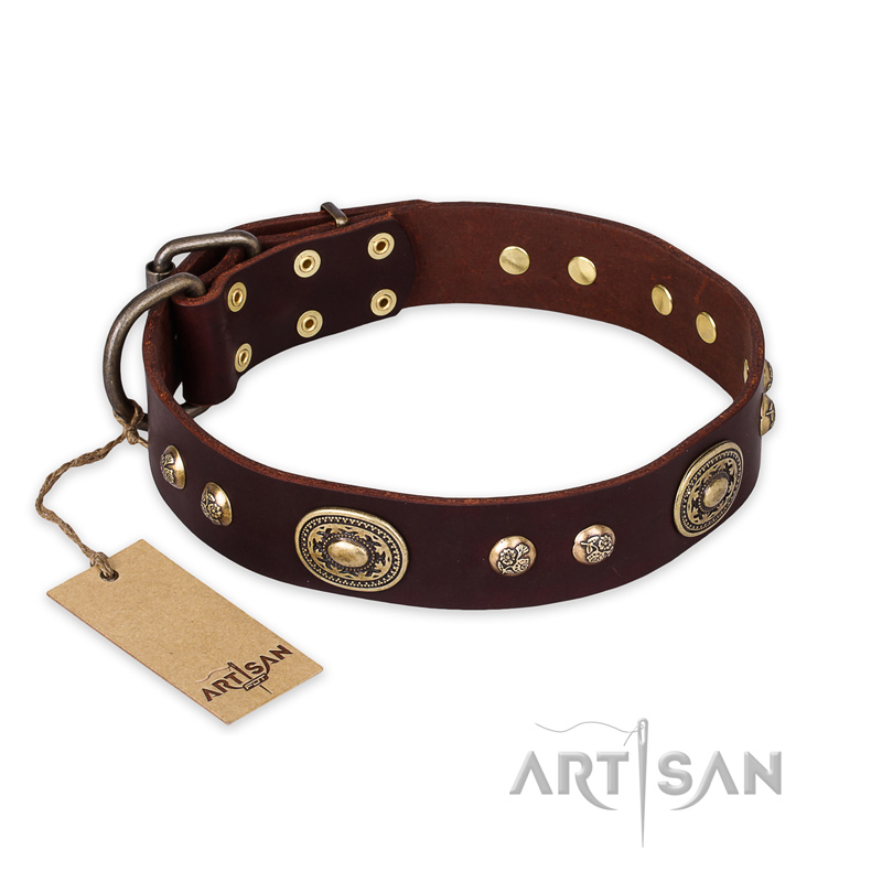 "Breath of Elegance" FDT Artisan Decorated with Plates Brown Leather English Bulldog Collar