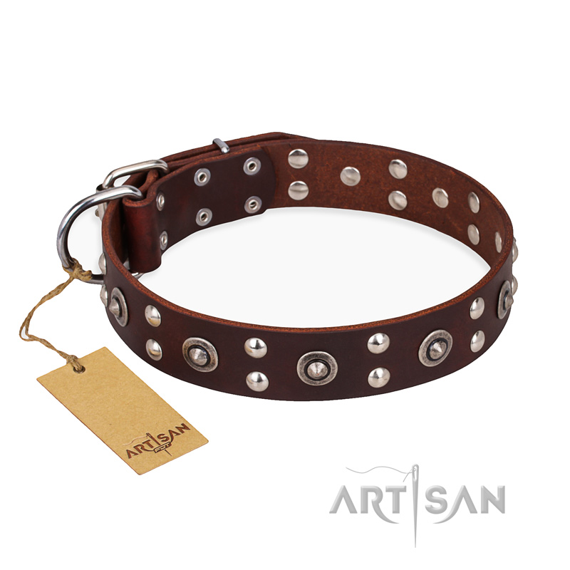 "Pirate Treasure" FDT Artisan Exciting Brown Leather English Bulldog Collar with Studs
