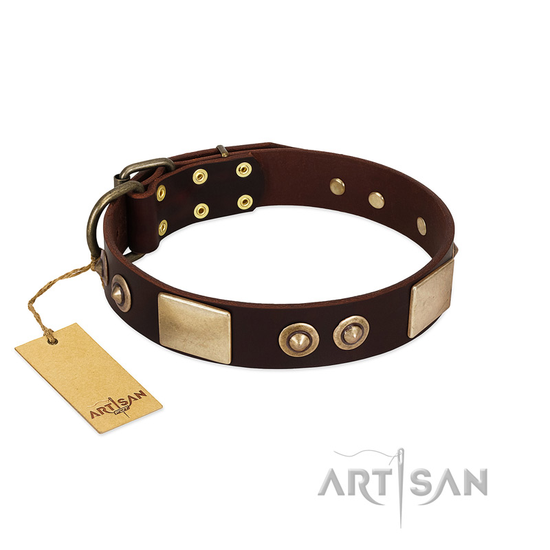 "Sense of Freedom" FDT Artisan Brown Leather English Bulldog Collar with Old Bronze-Plated Studs and Plates