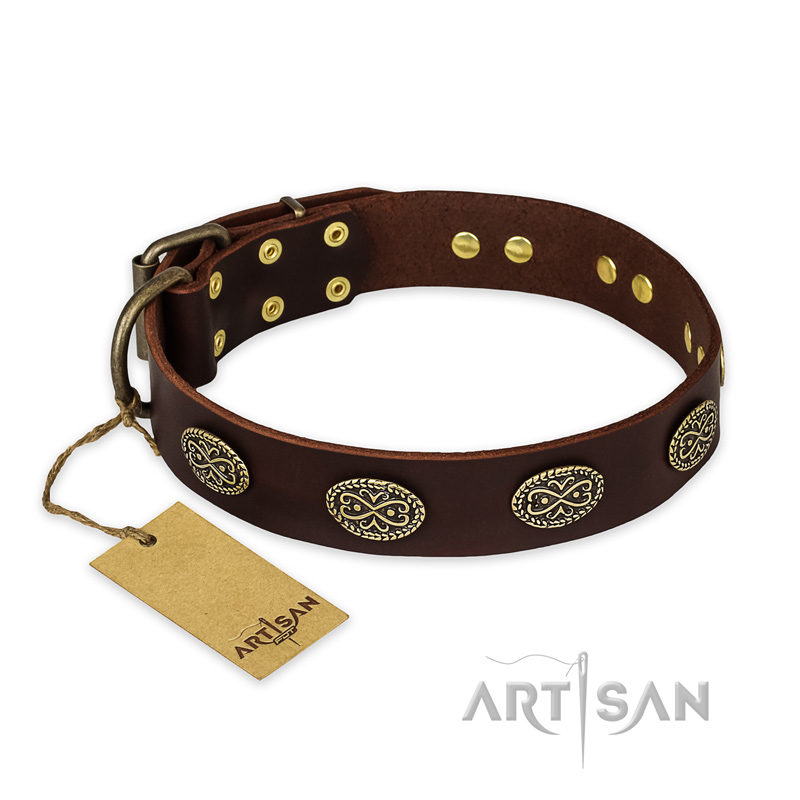 "Chocolate kiss" FDT Artisan Leather English Bulldog Collar with Old Bronze Look Oval Plates