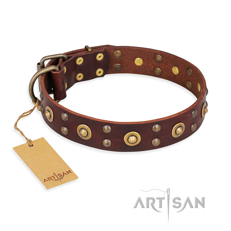 "Caprice of Fashion" FDT Artisan Brown Leather English Bulldog Collar with Round Decorations