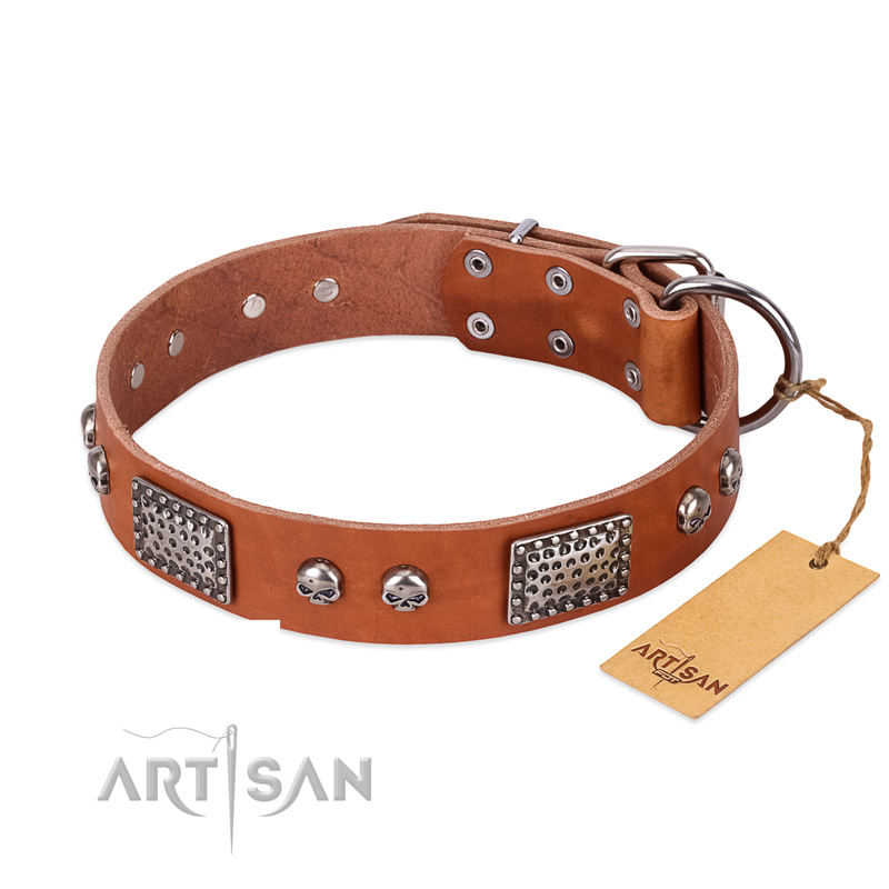 "Sparkling Skull" FDT Artisan Tan Leather English Bulldog Collar with Old Silver Look Plates and Skulls - Click Image to Close