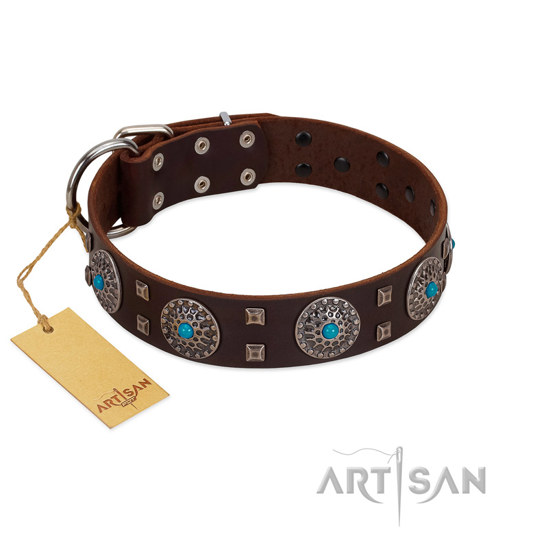 "Hypnotic Stones" FDT Artisan Brown Leather English Bulldog Collar with Chrome Plated Brooches and Square Studs