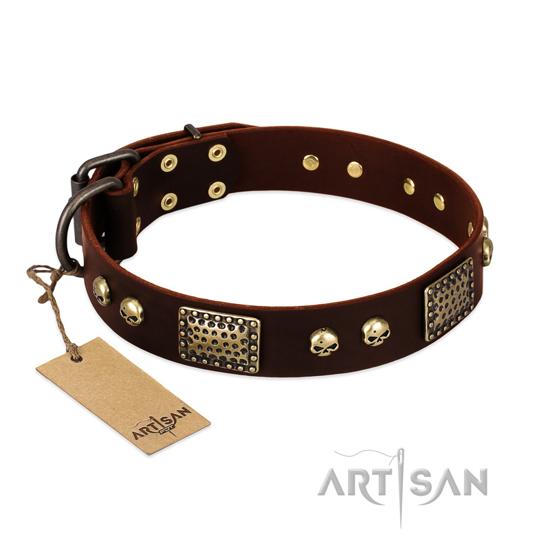 "Magic Amulet" Brown Leather English Bulldog Collar with Skulls and Plates