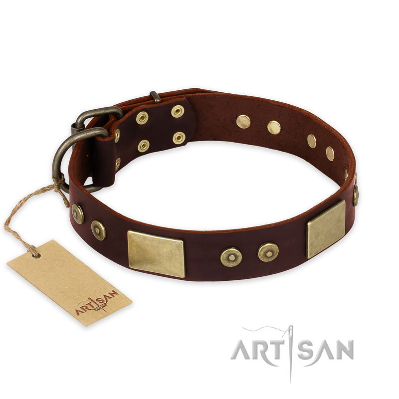 "Shining Armour" FDT Artisan Brown Leather English Bulldog Collar with Decorations