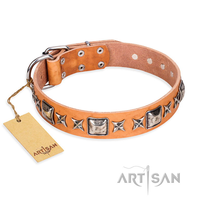 "Glamour Finery" FDT Artisan Female English Bulldog collar of natural leather with stylish old-looking circles