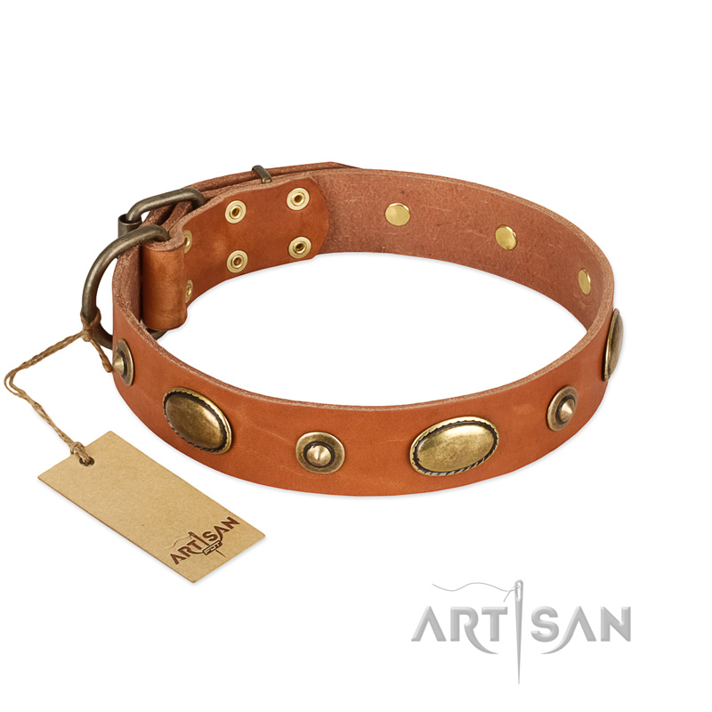 "Visual Magic" FDT Artisan Tan Leather English Bulldog Collar for Daily Activities - Click Image to Close