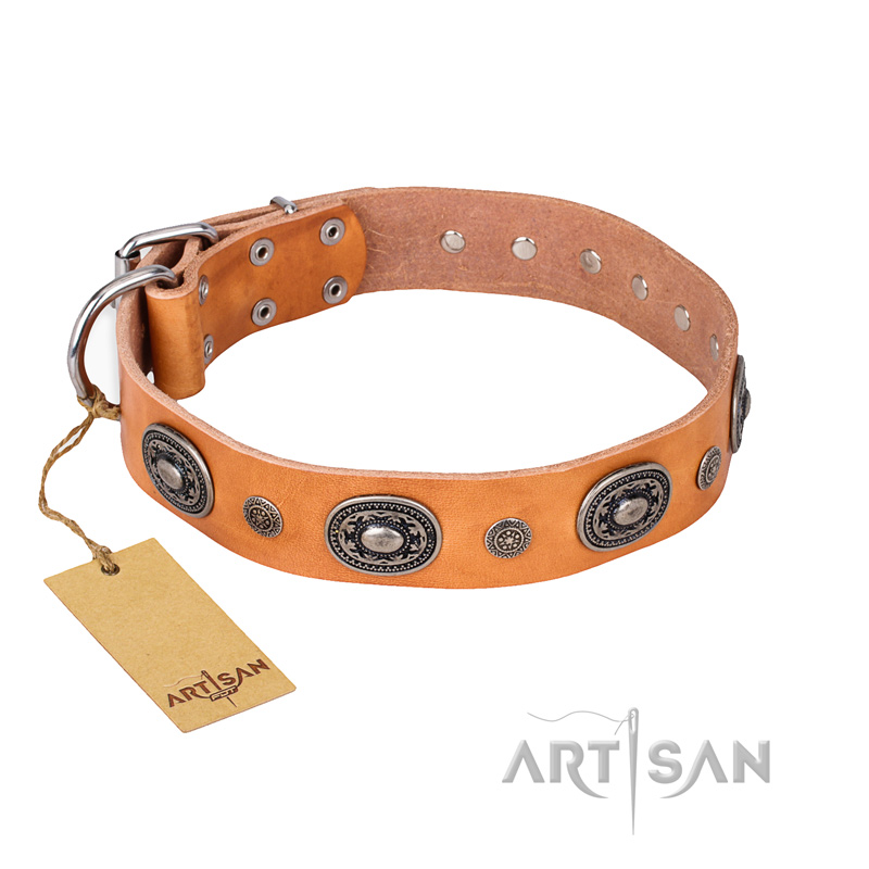 "Twinkle Twinkle" FDT Artisan Incredible Studded Tan Leather English Bulldog Collar