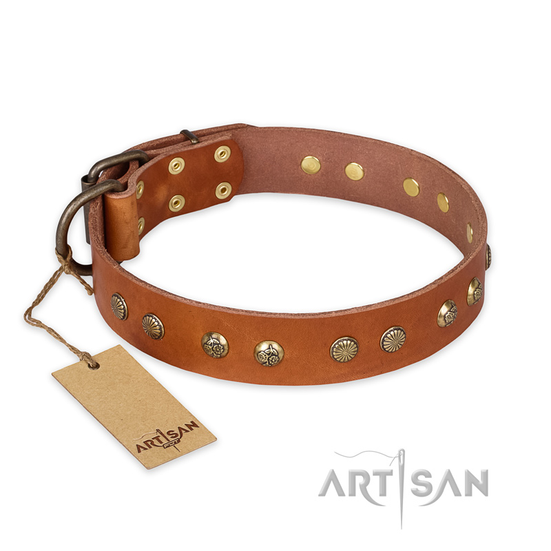 "Spring Flavor" FDT Artisan Adorned Leather English Bulldog Collar with Old Bronze-Plated Engraved Studs