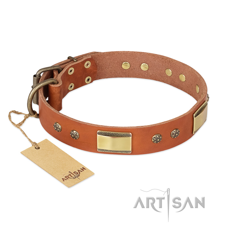 "Enchanting Spectacle" FDT Artisan Tan Leather English Bulldog Collar with Old Bronze Look Plates and Round Studs