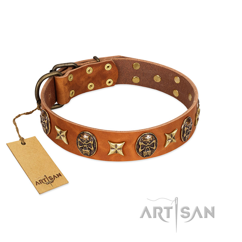 "Rockin' Doggie" FDT Artisan Tan Leather English Bulldog Collar Adorned with Stars and Skulls