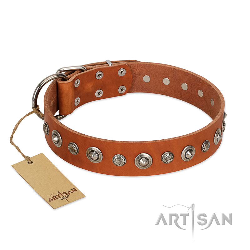 "Gorgeous Roundie" FDT Artisan Tan Leather English Bulldog Collar with Chrome-plated Circles