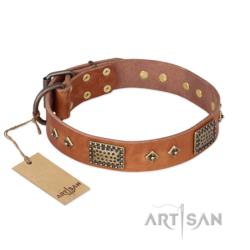 "Catchy Look" FDT Artisan Decorated Tan Leather English Bulldog Collar