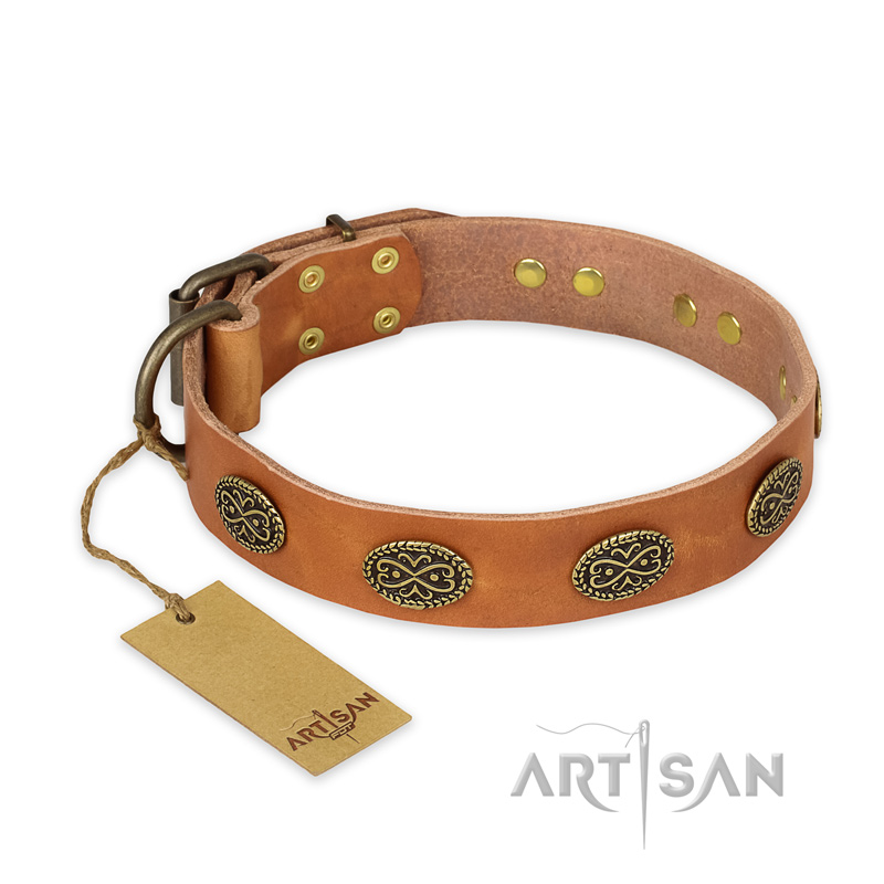 "Magic Amulet" FDT Artisan Tan Leather English Bulldog Collar with Oval Studs