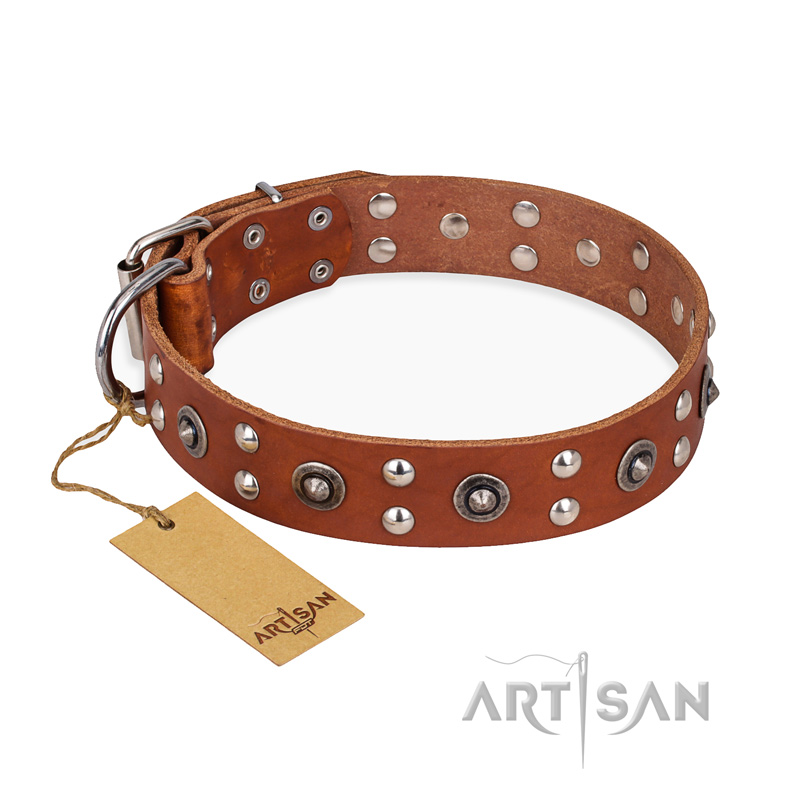 "Silver Elegance" FDT Artisan Decorated Leather English Bulldog Collar with Old Silver-Like Plated Studs and Cones