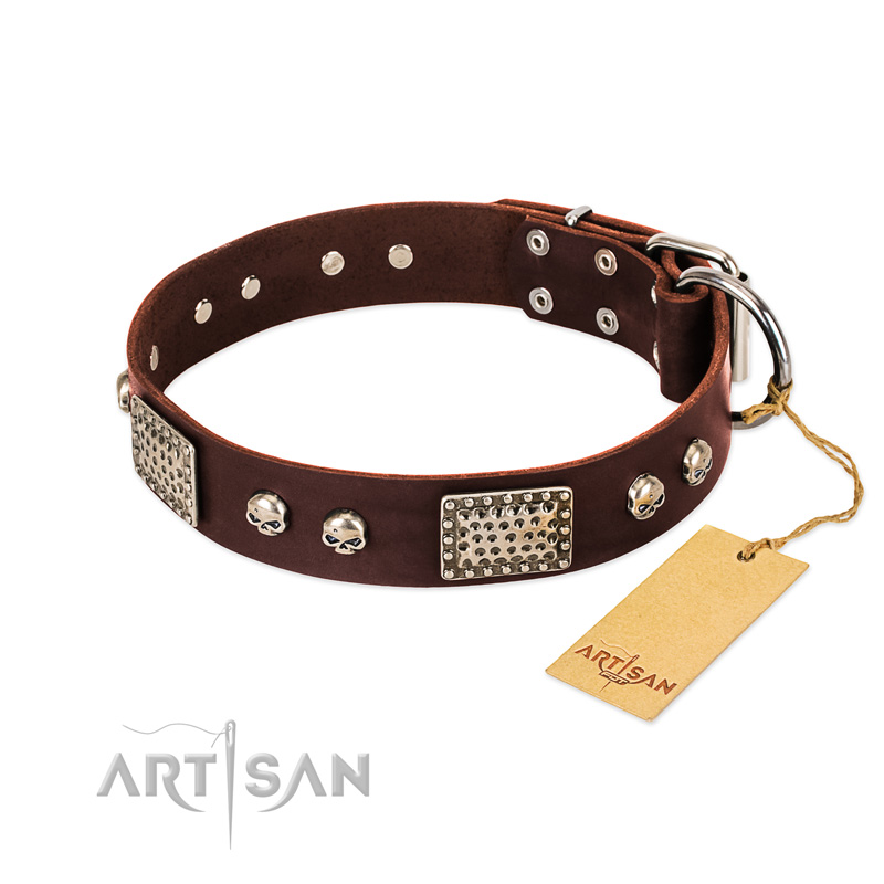 "Pirate Skull" FDT Artisan Brown Leather English Bulldog Collar with Old Silver Look Plates and Skulls