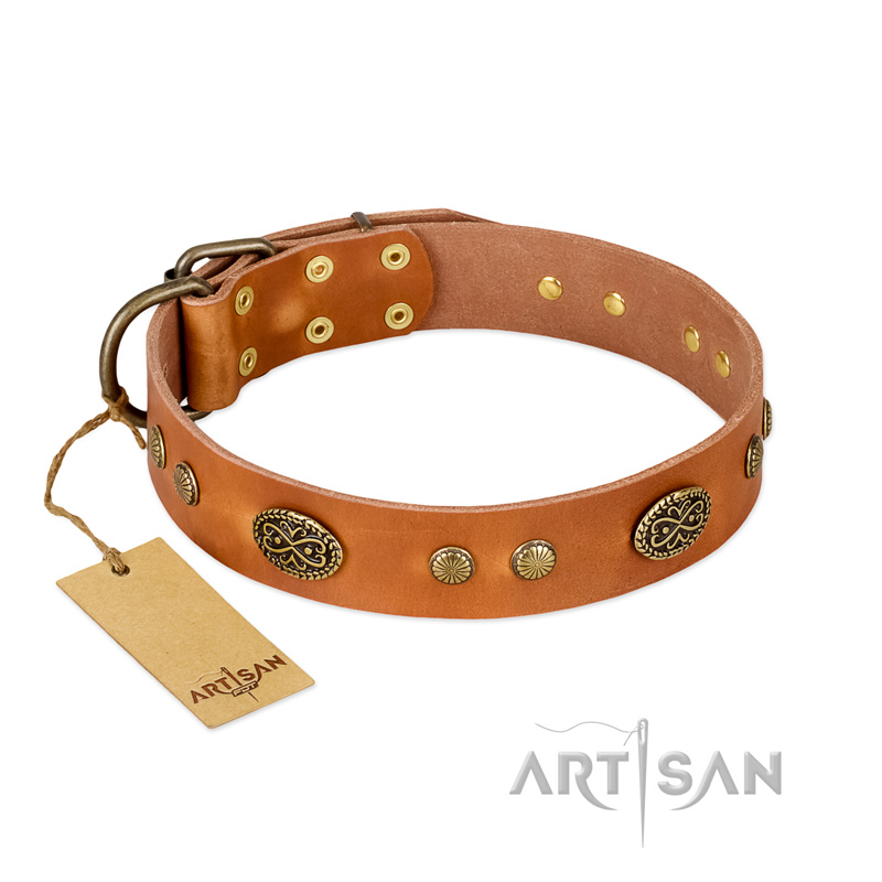 "Sun Beams" FDT Artisan Tan Leather English Bulldog Collar with Decorations
