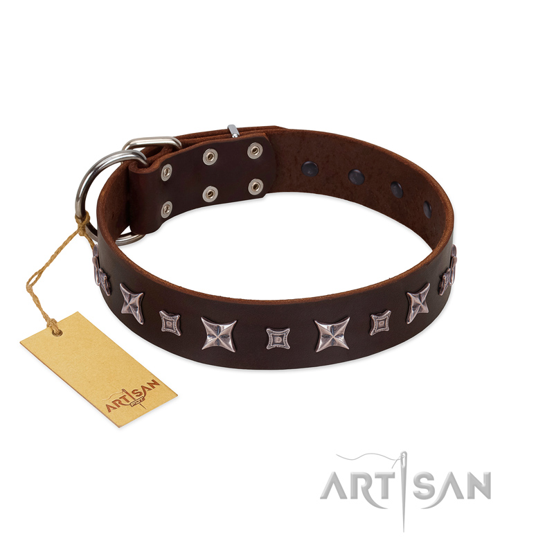 "Stellar Fairy " FDT Artisan Brown Leather English Bulldog Collar with Chrome-plated Star-like Decorations - Click Image to Close