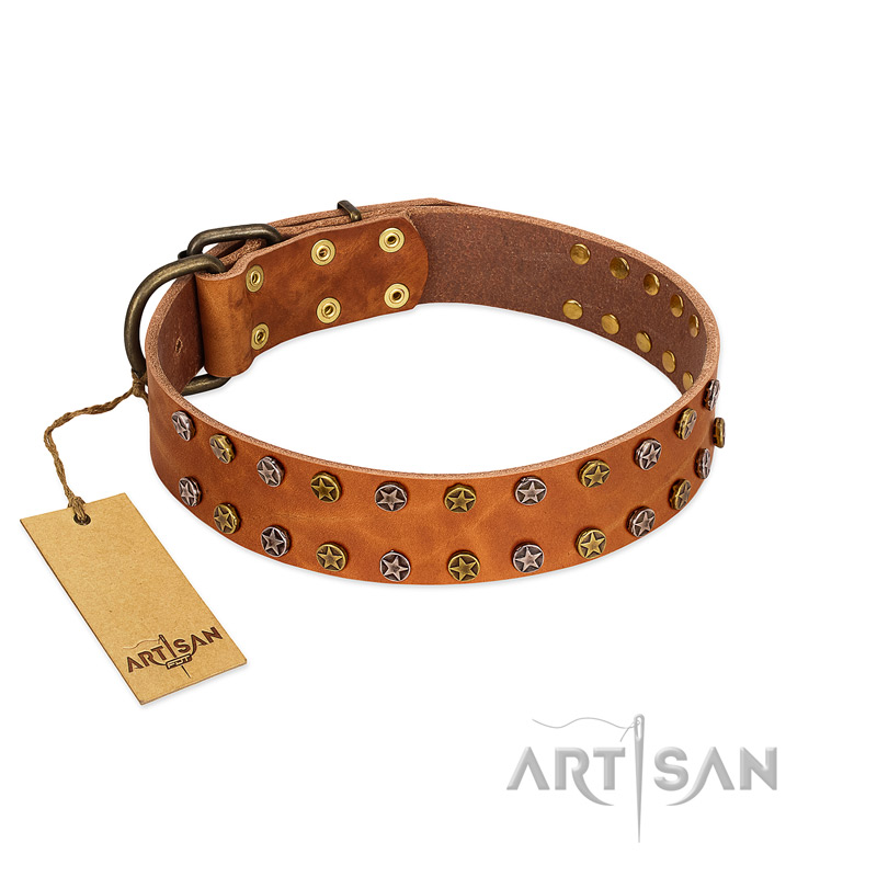 "Walk and Shine" FDT Artisan Tan Leather English Bulldog Collar with Antiqued Studs