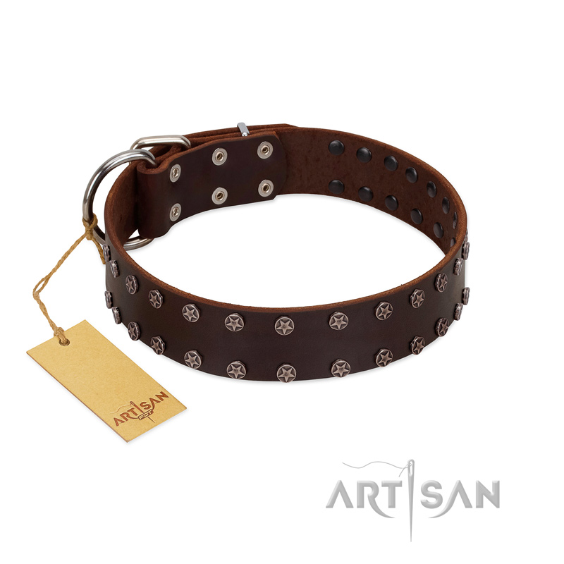 "Star Party" Handmade FDT Artisan Brown Leather English Bulldog Collar with Silver-Like Studs