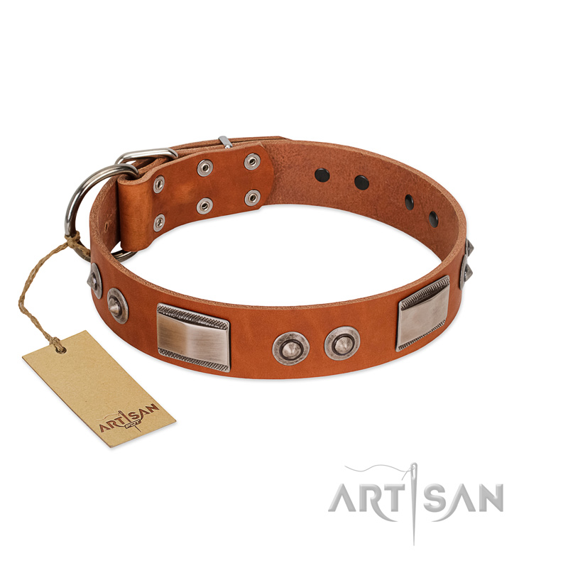 "Pawsy Glossy" FDT Artisan Exclusive Tan Leather English Bulldog Collar 1 1/2 inch (40 mm) wide
