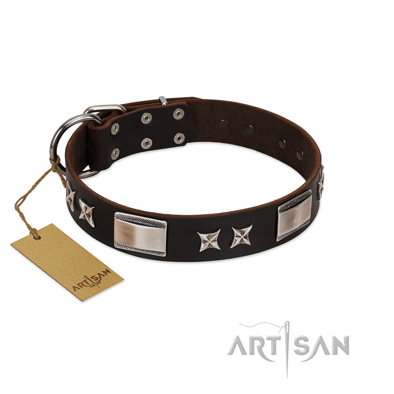 "Satin Beauts" FDT Artisan Brown Leather English Bulldog Collar with Stars and Plates