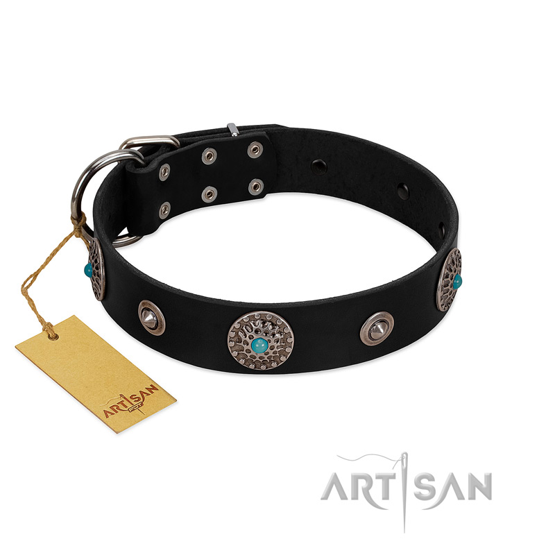 "Blue Gems" FDT Artisan Black Leather English Bulldog Collar with Chrome Plated Studs and Conchos